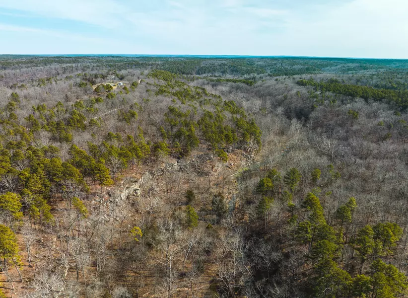 000 Bell Road-Tract 6, Roby, MO 65557