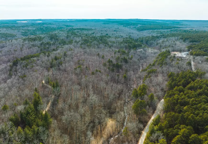 000 Paddy Chapel Road-Tract 10, Roby, MO 65557