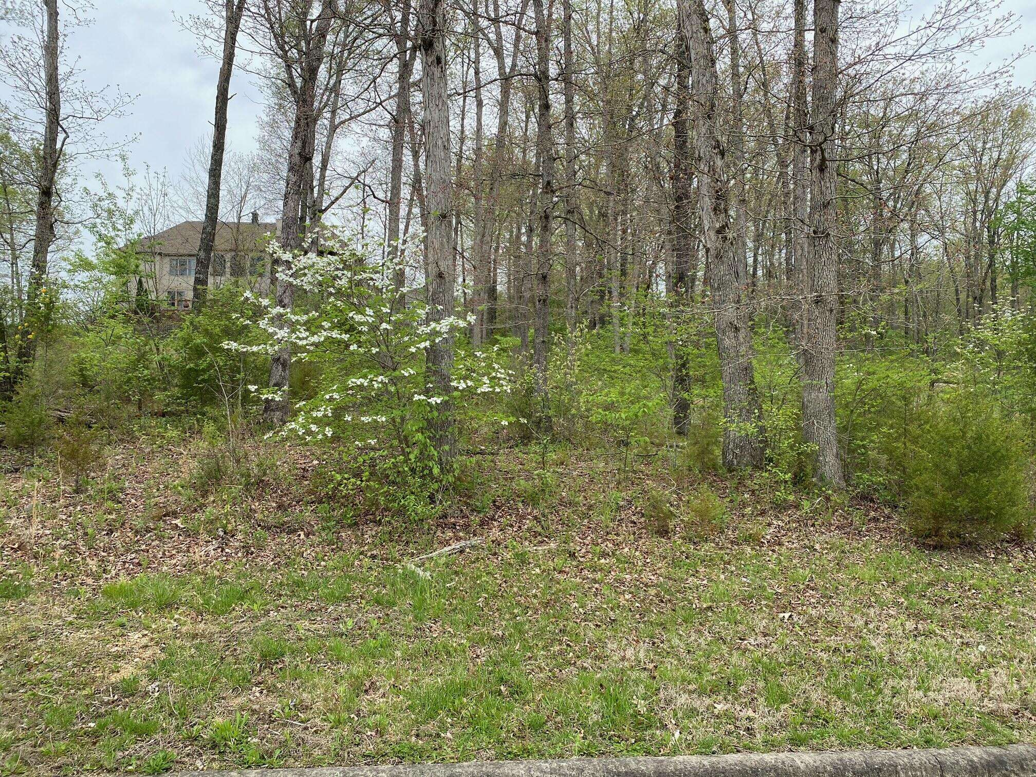 Branson, MO 65616,108 Pinehurst CT