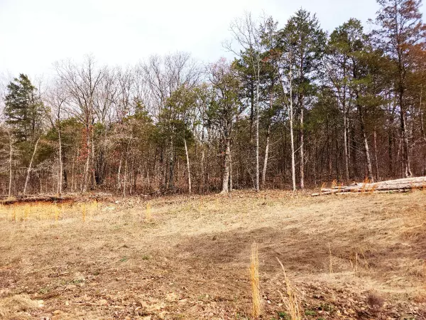 Lampe, MO 65681,Block A- 6 Judy Gail LN