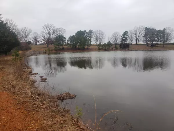 Raymondville, MO 65555,000 Lakeview Trail