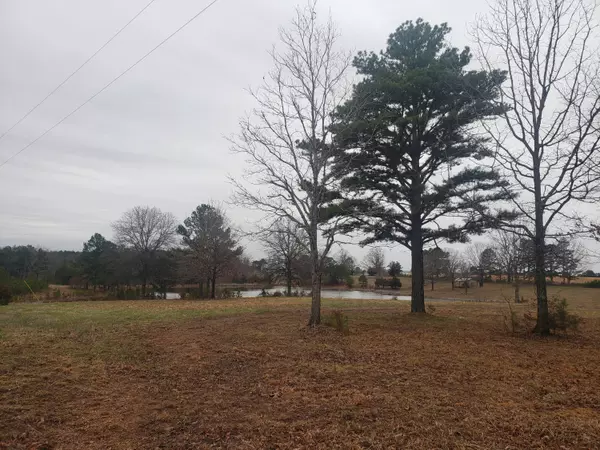 Raymondville, MO 65555,000 Lakeview Trail