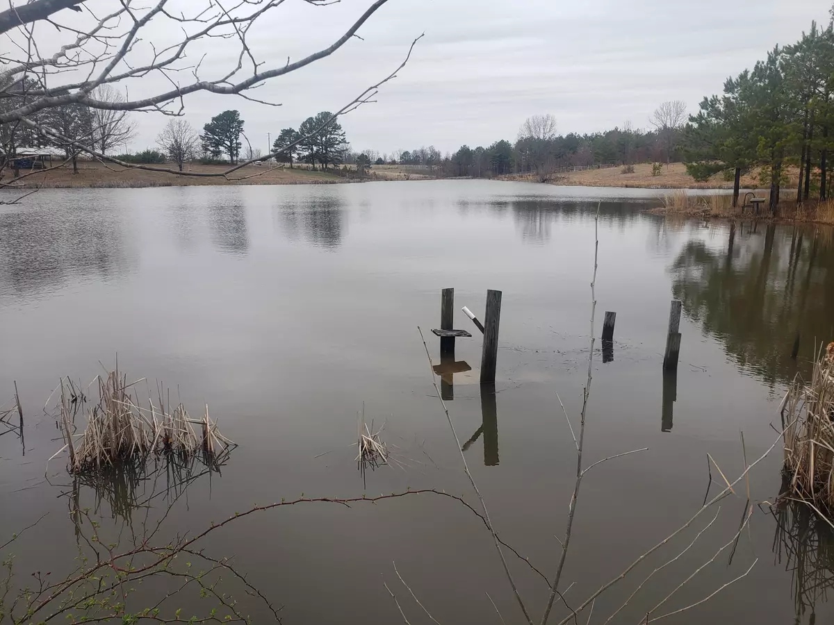 Raymondville, MO 65555,000 Lakeview Trail