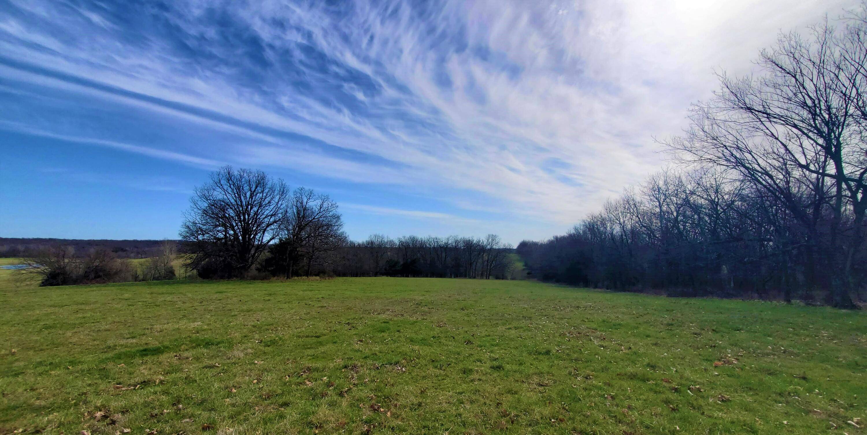 Walnut Grove, MO 65770,Lot 5 N Farm Road 61