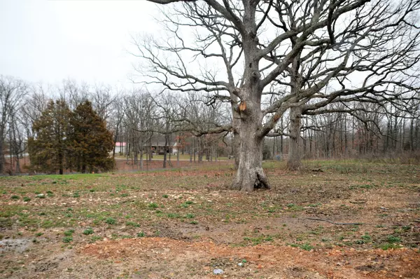 Fordland, MO 65652,2359 State Hwy Pp