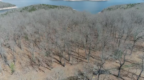 Protem, MO 65733,000 Pine Hollow Road