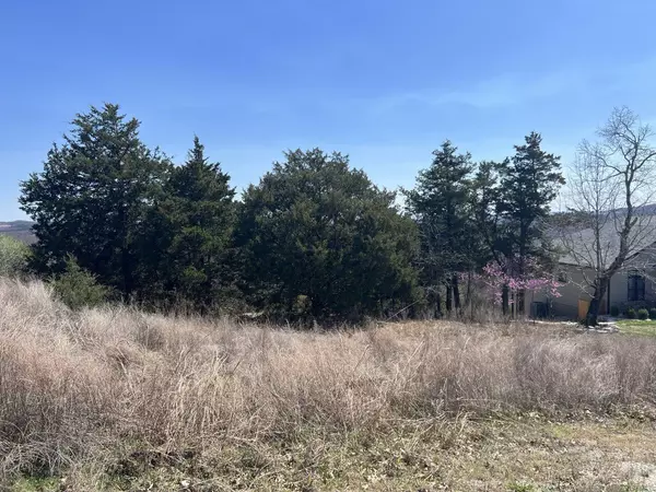 Branson West, MO 65737,Lot 116 Black Forest LN