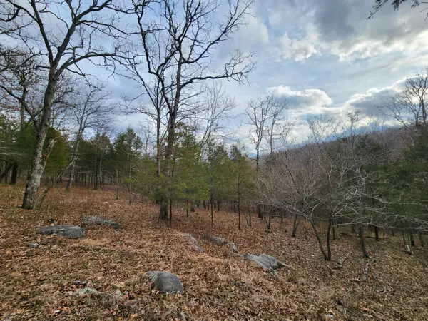 Isabella, MO 65676,000 Tbd County Road 821