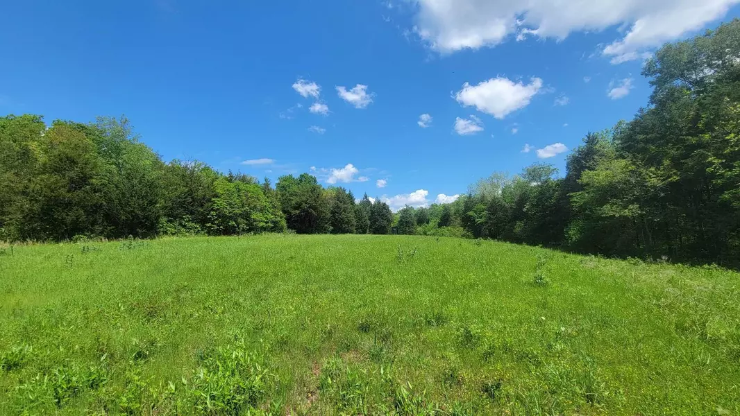 000 Highway Z, Gainesville, MO 65655