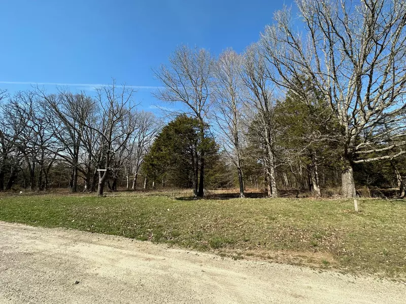 Lot 13 Wyldewood DR, Fordland, MO 65652