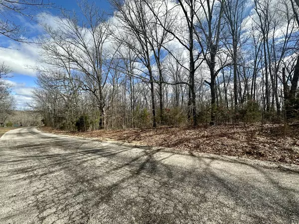 Alton, MO 65606,Lot 10 Haigwood DR