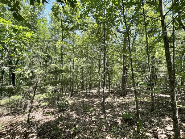 Dora, MO 65637,000 State Route 14