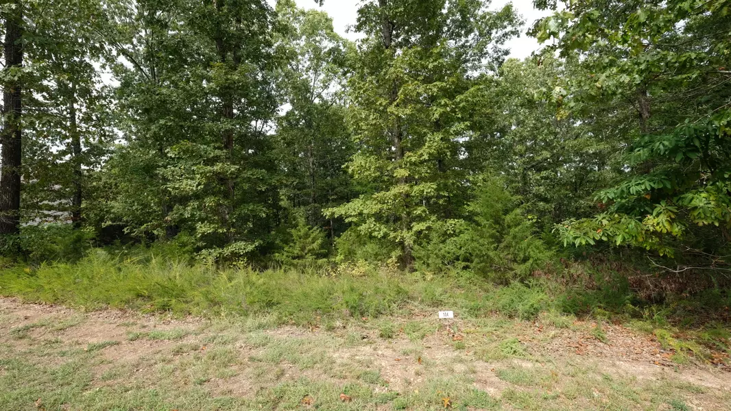 1173 Emory Creek BLVD, Branson, MO 65616