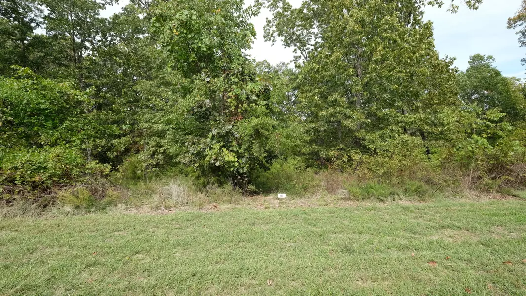 1191 Emory Creek BLVD, Branson, MO 65616