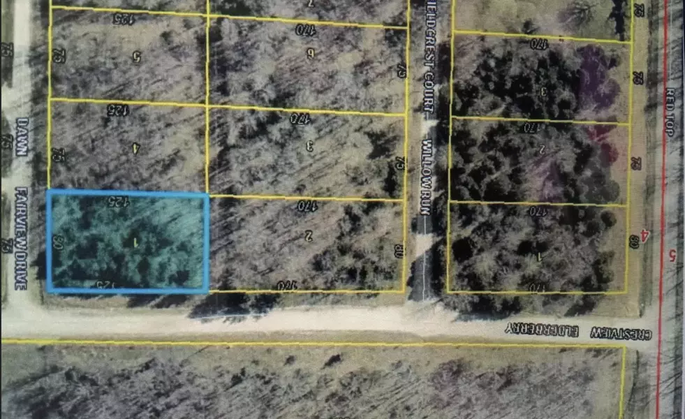 000 Dawn DR #Lot 17, Buffalo, MO 65622