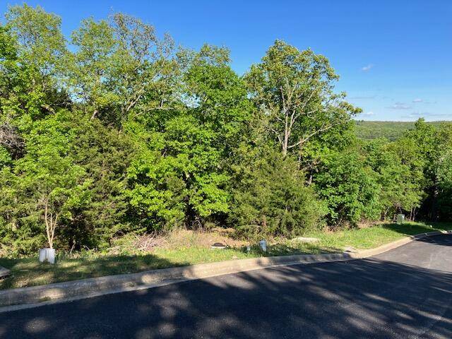 Lot 52 Flat Rock Road, Emerald Pointe, Hollister, MO 65672