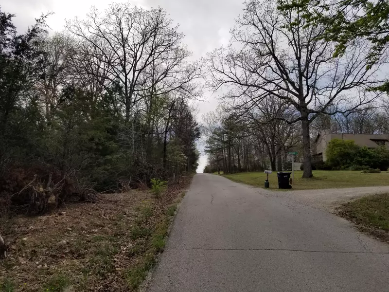 000 1.10 Acres M/L On Wildwood St., Gainesville, MO 65655