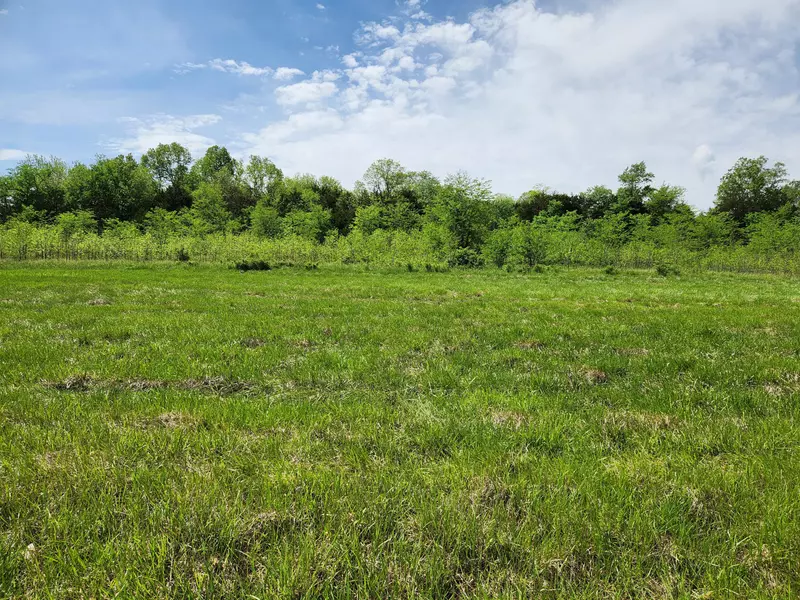 000 River Pass Drive Lot 5 Phase 1, Marshfield, MO 65706