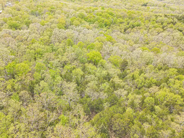 Pittsburg, MO 65724,Tract 1 Tall Oaks