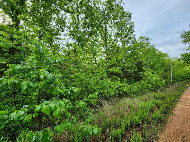 Tract 4 Easy Street, Pittsburg, MO 65724