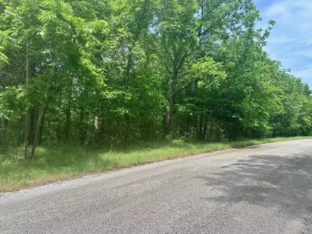 Tbd N Dade 171, Greenfield, MO 65661