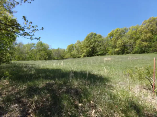 Goodman, MO 64843,1511 Temperance Valley Rd RD