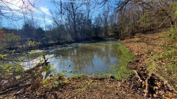 Republic, MO 65738,7035 W Musket Ridge RD #Lot 23