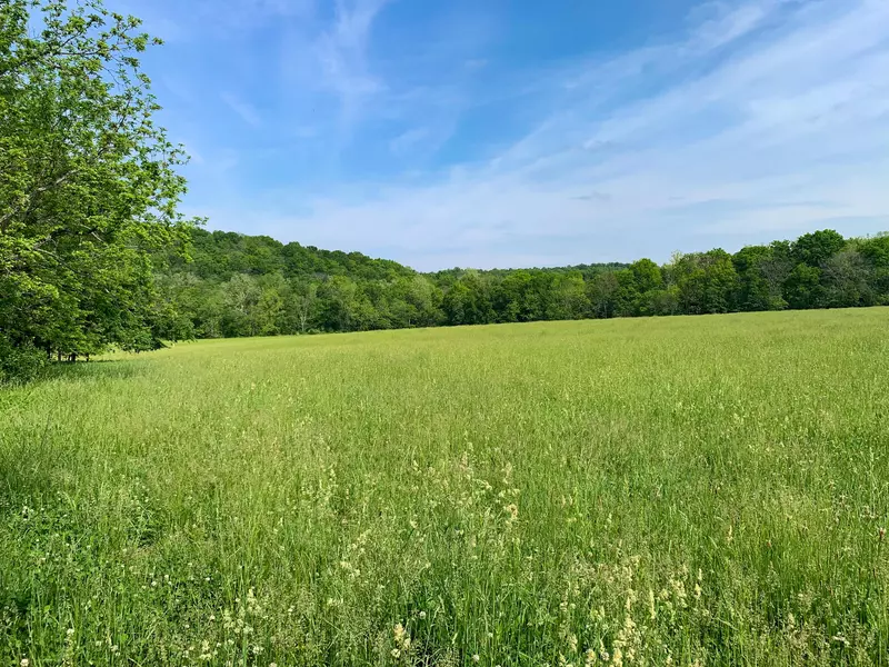 000 County Road 955, Squires, MO 65755