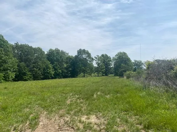 Fordland, MO 65652,000 Fox Run Lane