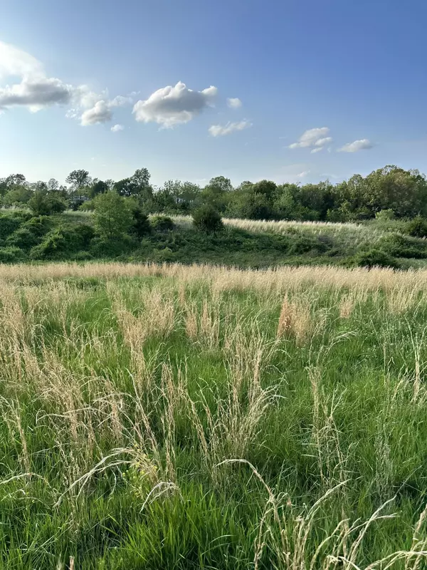 Lynchburg, MO 65543,11278 Hwy 95