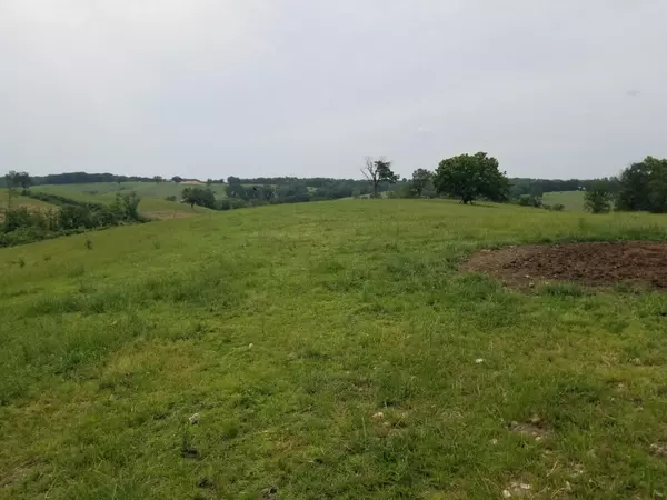 Anderson, MO 64831,158 Ac Blackfoot Hollow Rd