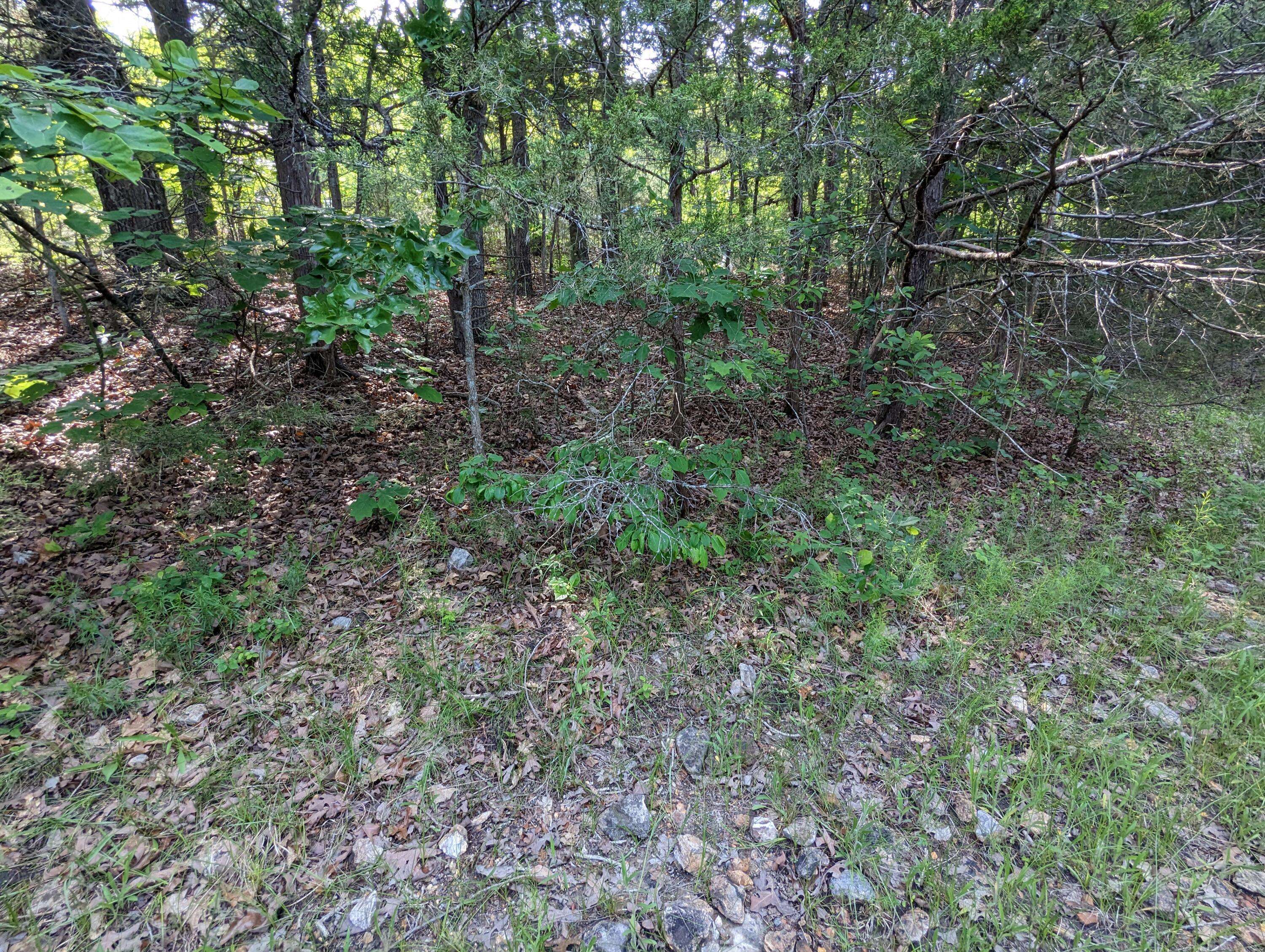 Hollister, MO 65672,Lot 250 Sharay CIR
