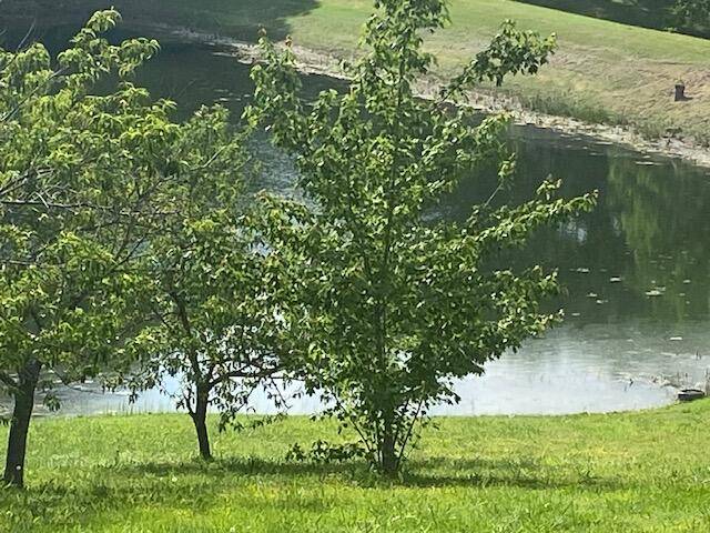 Ava, MO 65608,Lots 20-21 Wayside LN