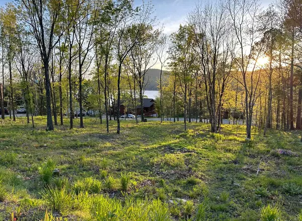 Shell Knob, MO 65747,000 Edgewater Lane