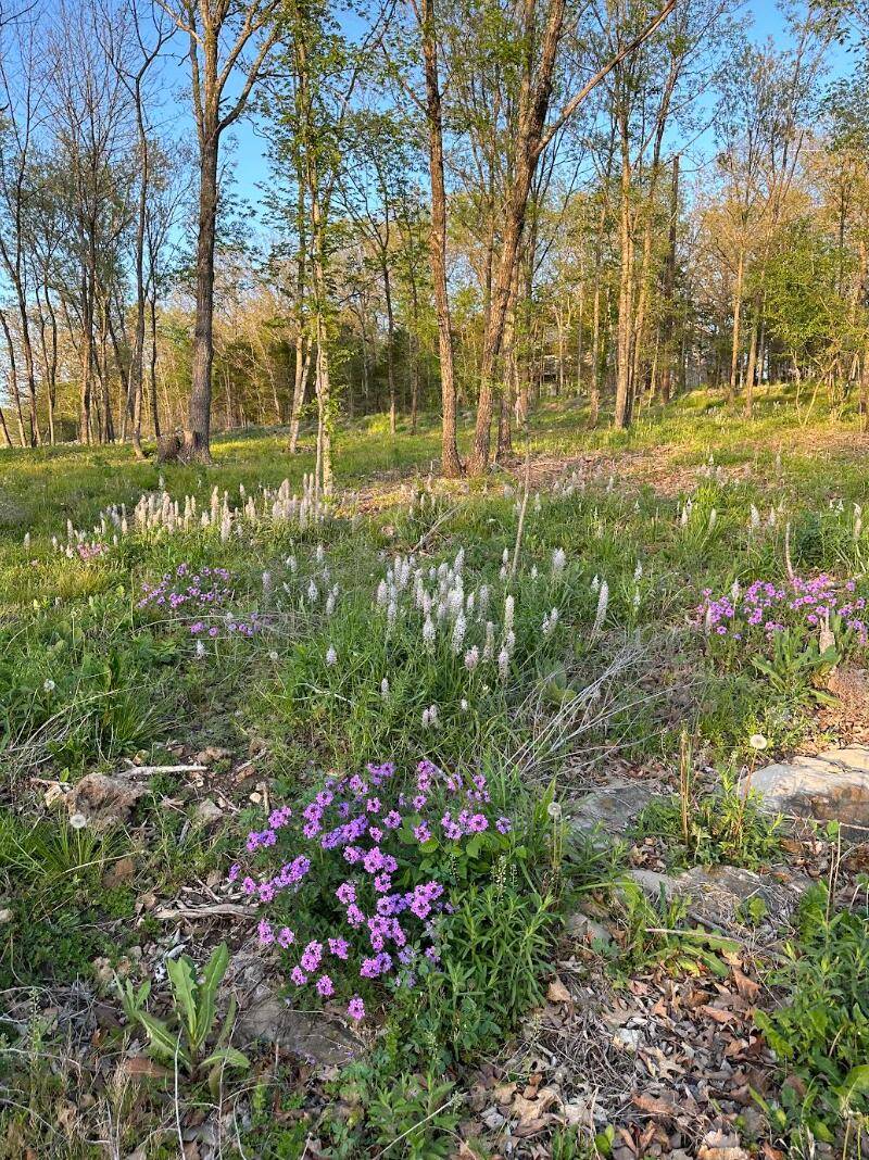 Shell Knob, MO 65747,000 Edgewater Lane