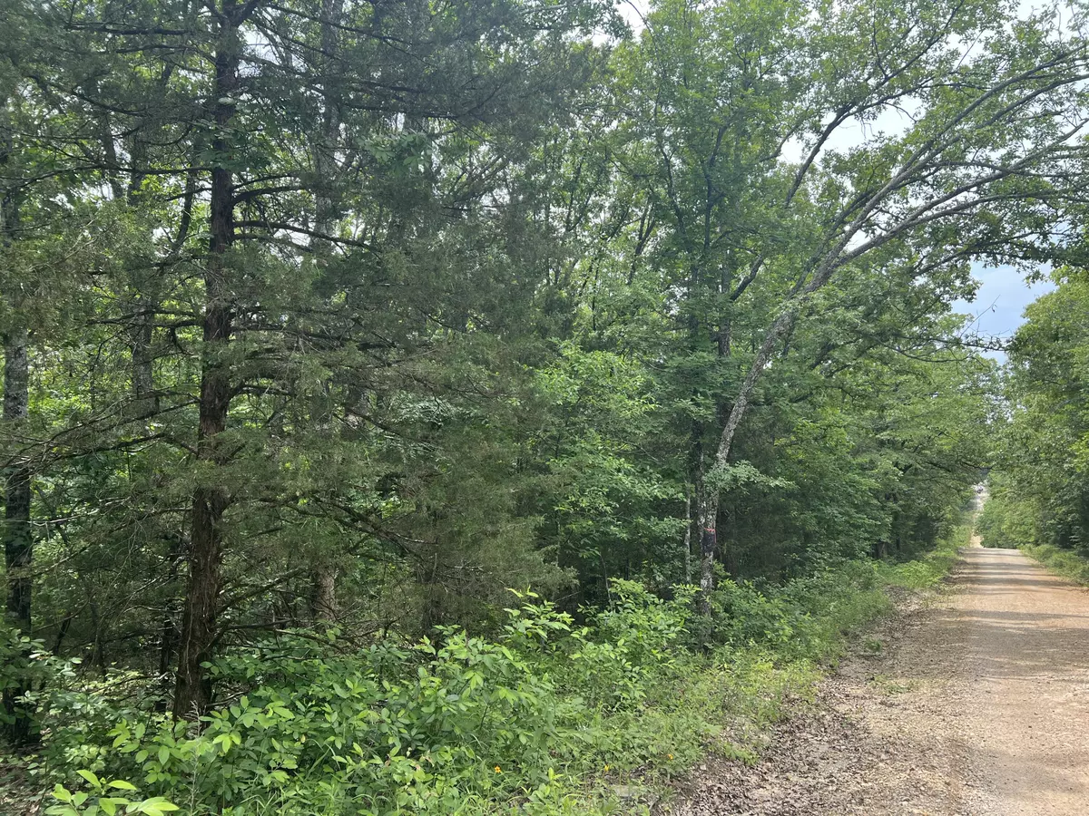 Isabella, MO 65676,000 County Road 827