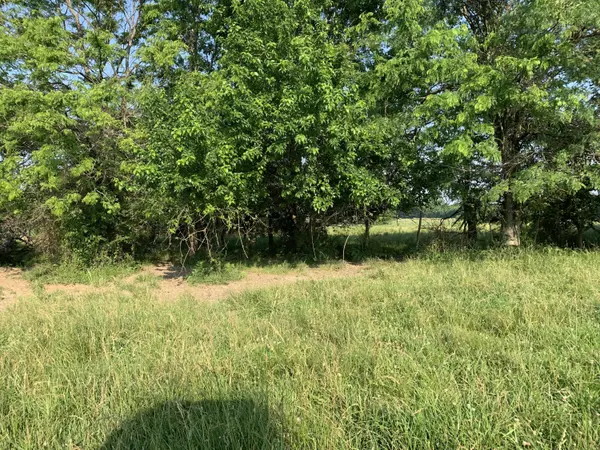 Willard, MO 65781,000 N State Highway Z