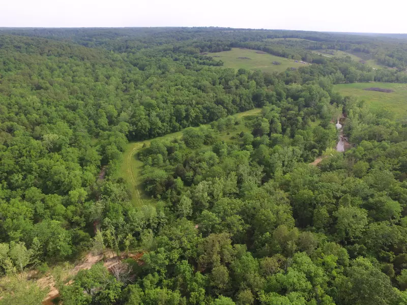 000 Saint George RD #31, Hartville, MO 65667