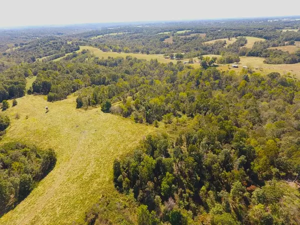 49 Acres Carlin Ridge RD, Rocky Comfort, MO 64861