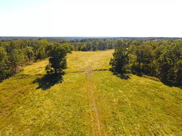 Rocky Comfort, MO 64861,49 Acres Carlin Ridge RD
