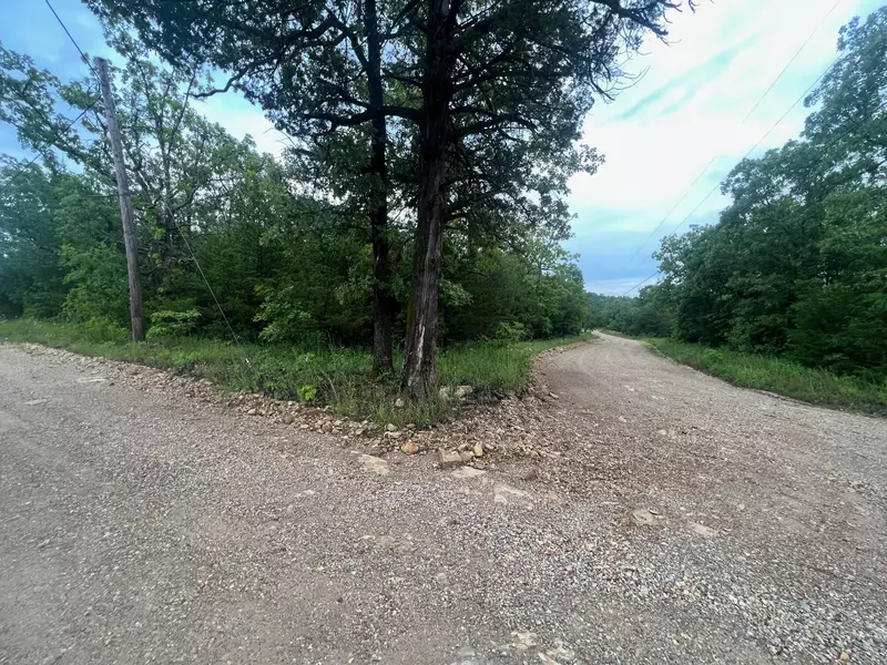 Tbd County Road 522/553a, Gainesville, MO 65655