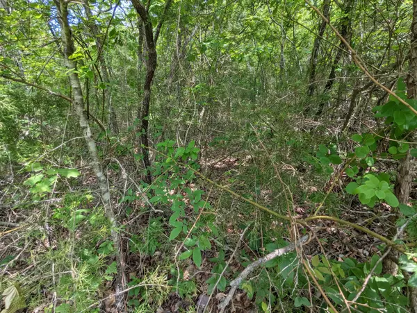 Galena, MO 65656,Lots 34,35 Virgin Bluff Drive