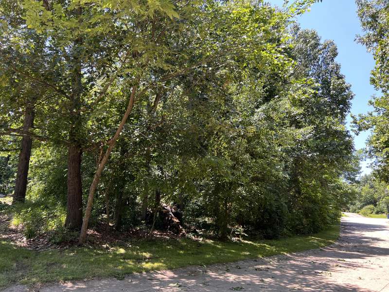 Xxx Hearthside Drive, Lot. 5, Neosho, MO 64850