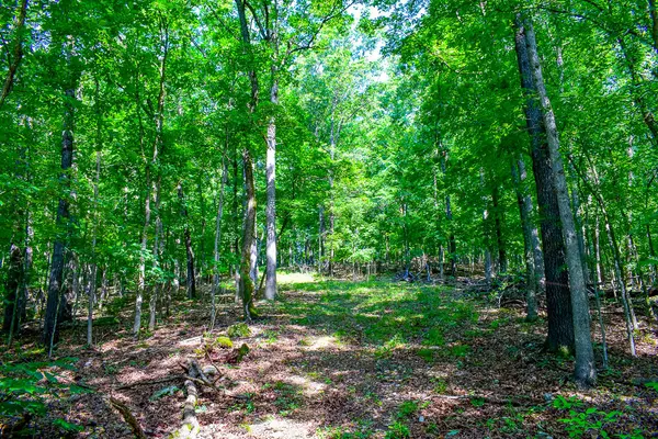 Cassville, MO 65625,000 Autumn Estates Subdivision #Lots 26-27