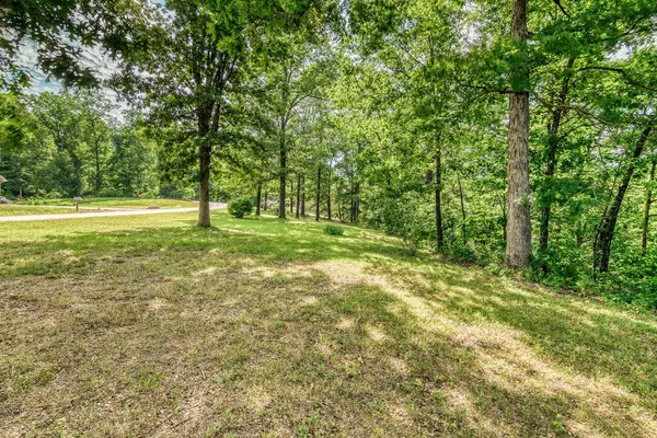 Galena, MO 65656,376 Curry LN