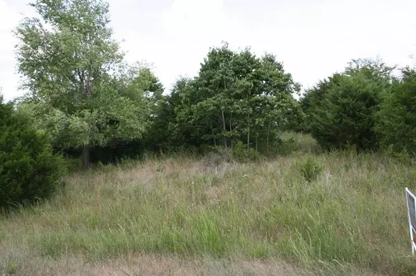 Branson, MO 65616,400 Lookout Ridge RD