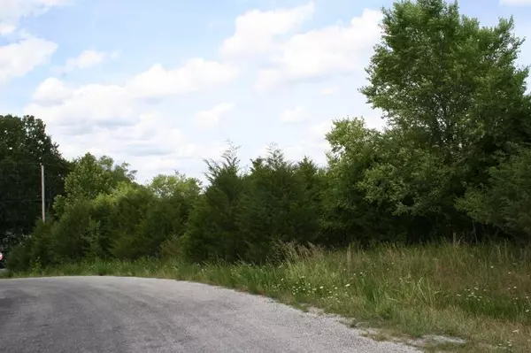 Branson, MO 65616,400 Lookout Ridge RD