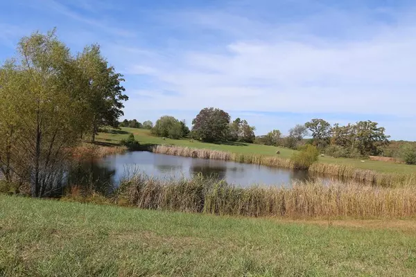 2006 Big Deer Run #Lot 1, West Plains, MO 65775