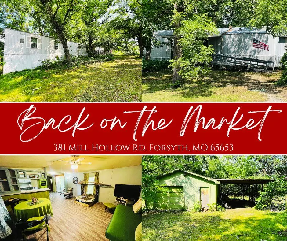 Forsyth, MO 65653,381 Mill Hollow RD