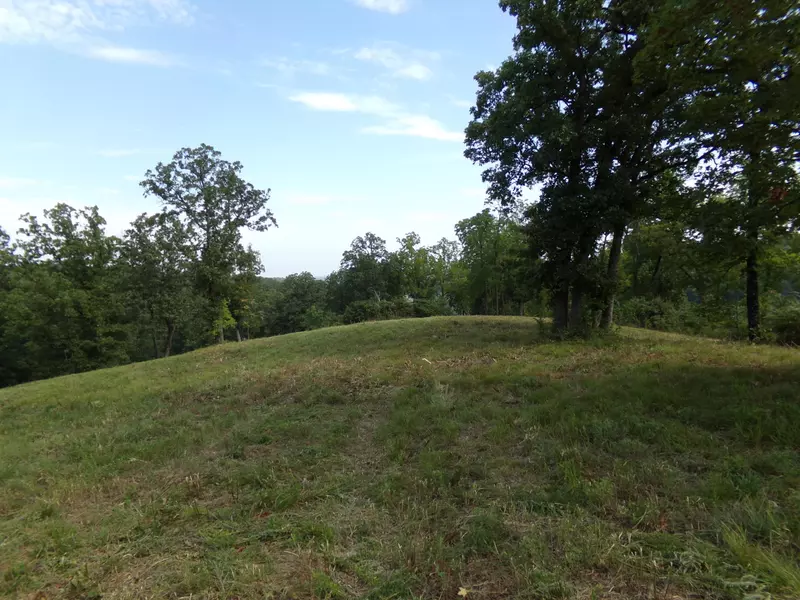 000 W Highway 90, Jane, MO 64856
